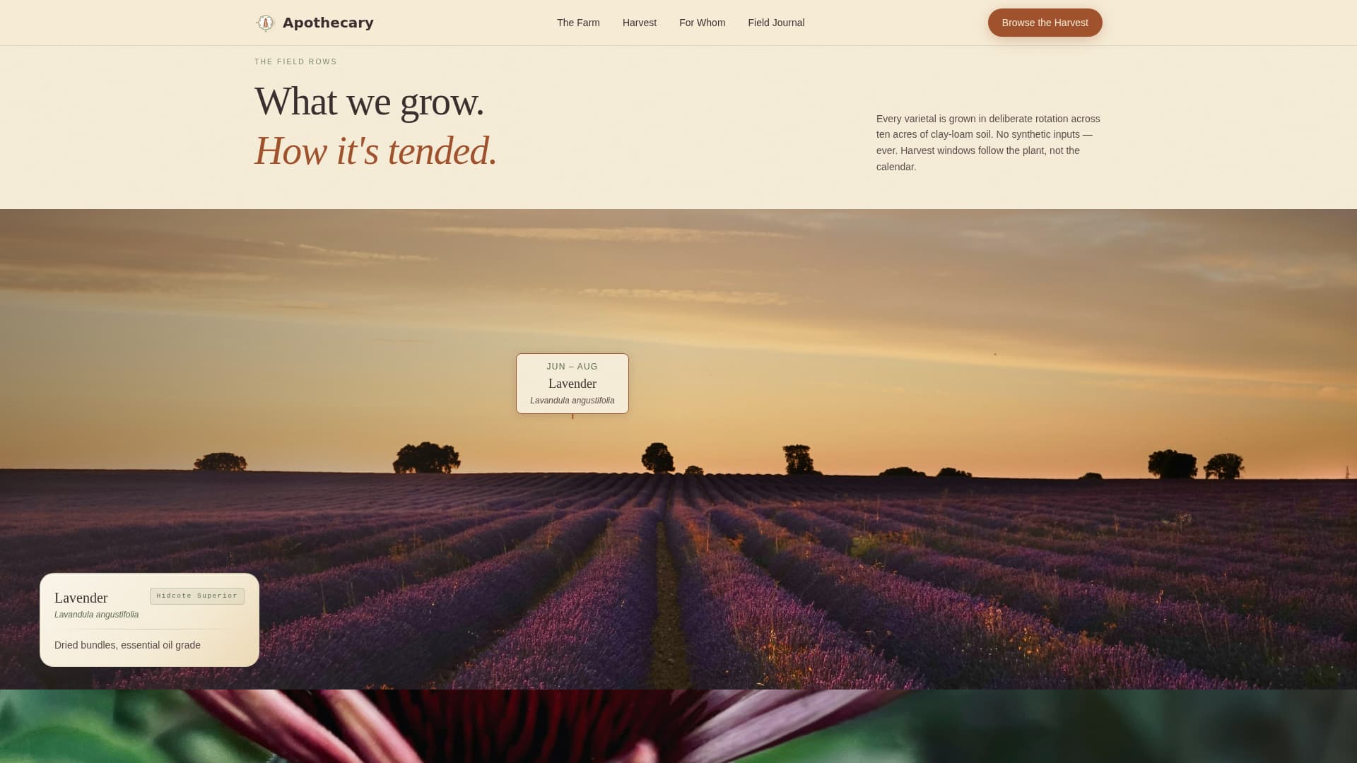 Apothecary - Immersive Herbfarm Landing Page Template