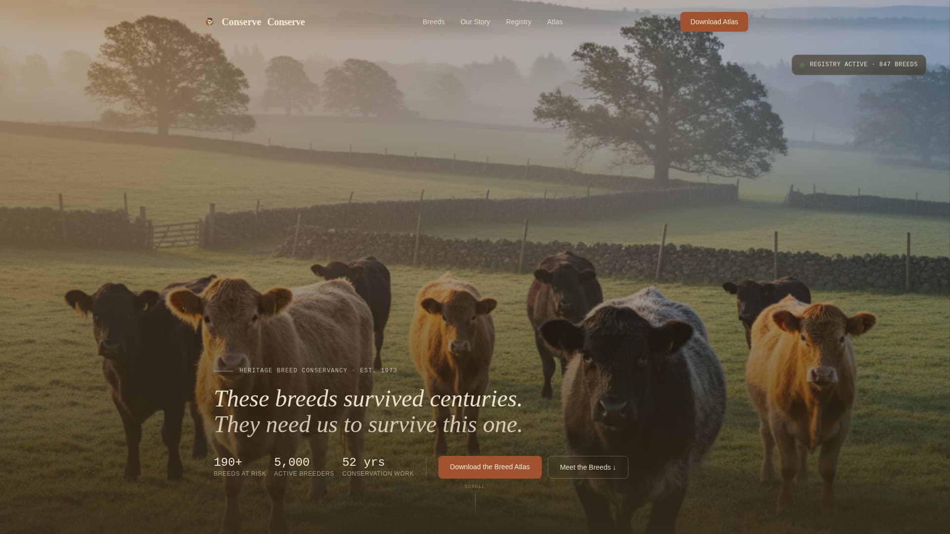 Conserve - Timeless Heritage Landing Page Template