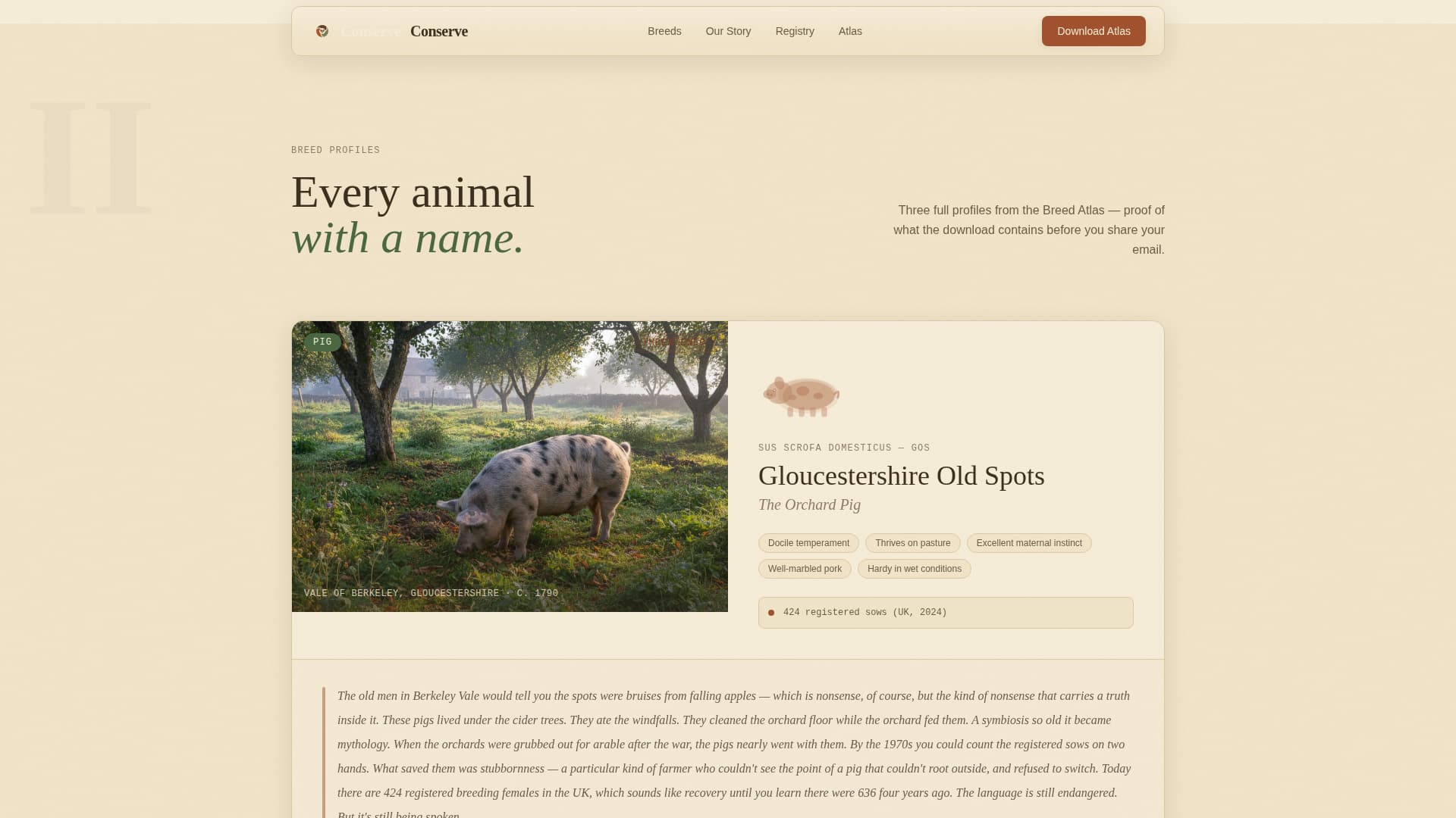 Conserve - Timeless Heritage Landing Page Template