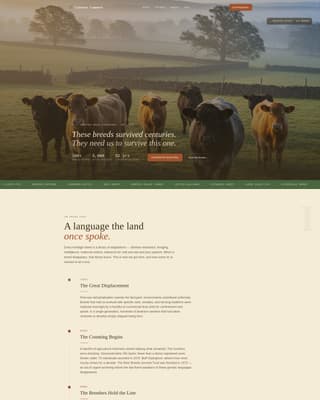 Conserve - Timeless Heritage Landing Page Template