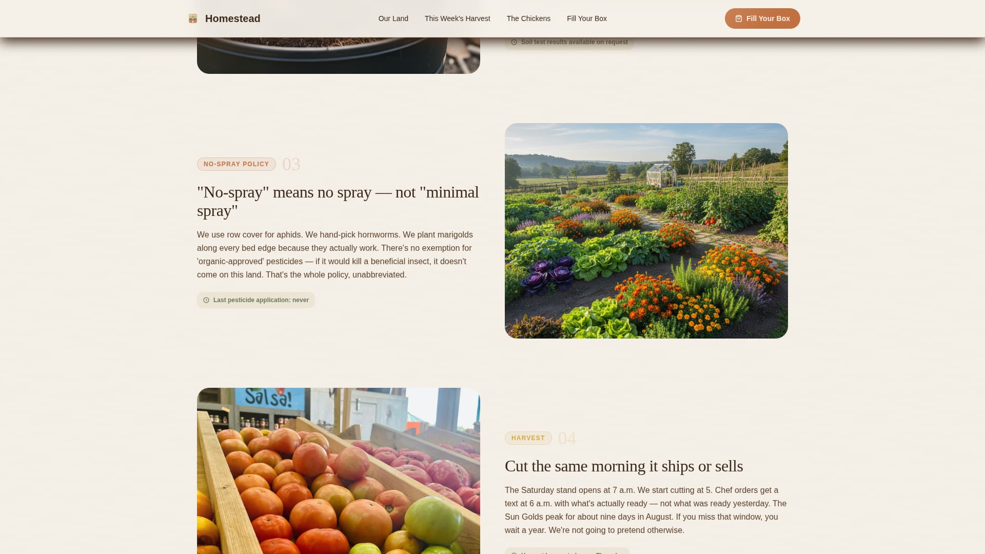 Homestead - Authentic Farm Landing Page Template