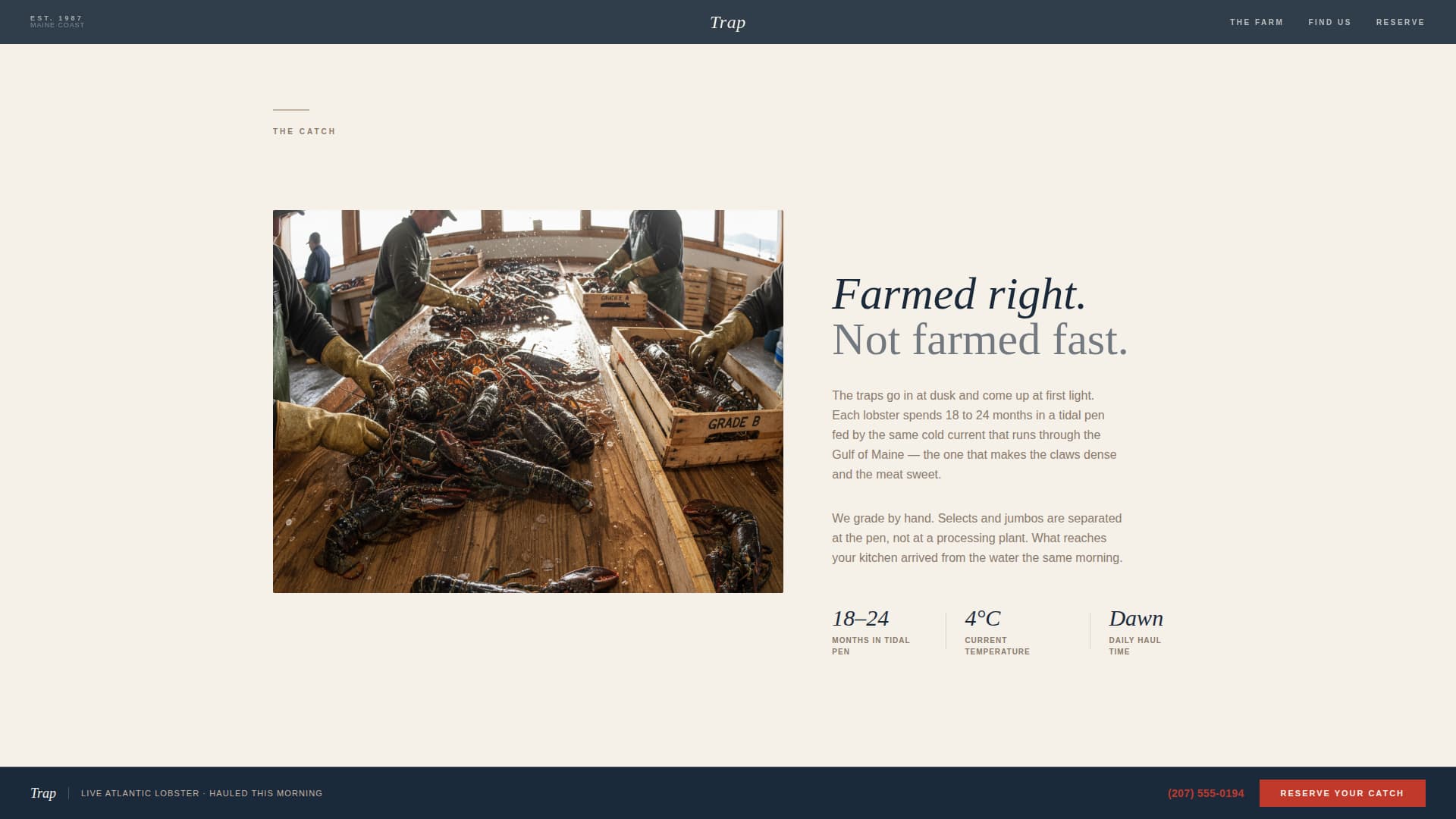 Specialty Farming Reviews Website Template