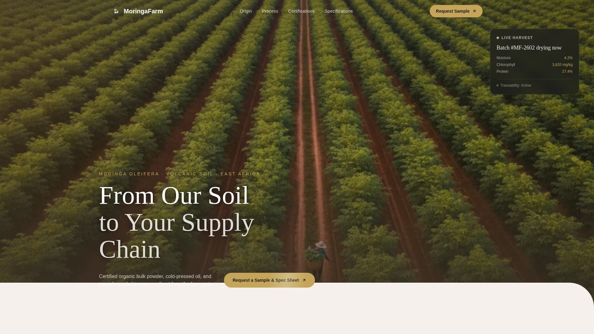 Moringa - Premium Superfood Landing Page Template