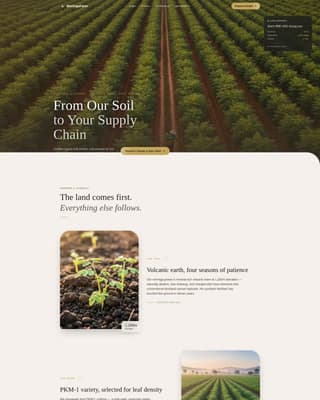 Moringa - Premium Superfood Landing Page Template