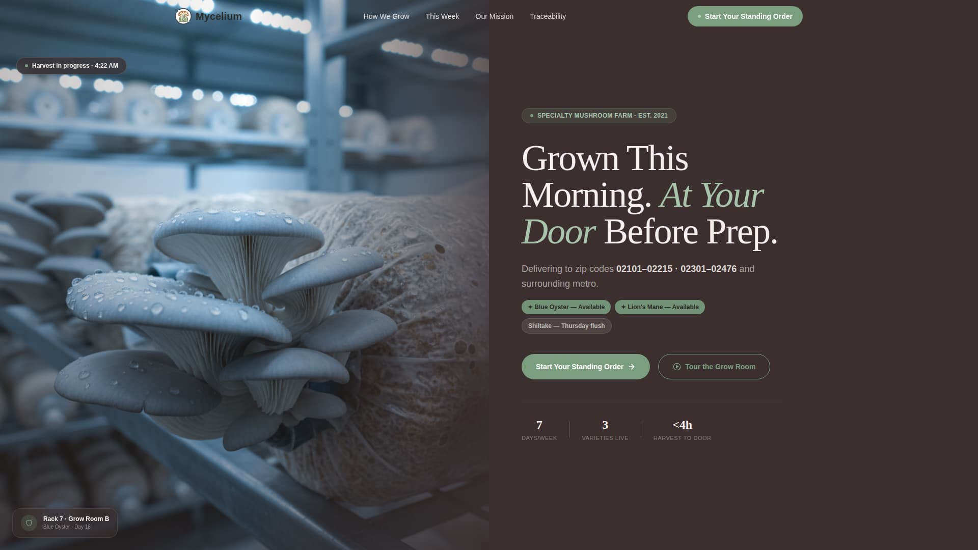 Greenhouse & Indoor Farming Specialist Professional Website Template