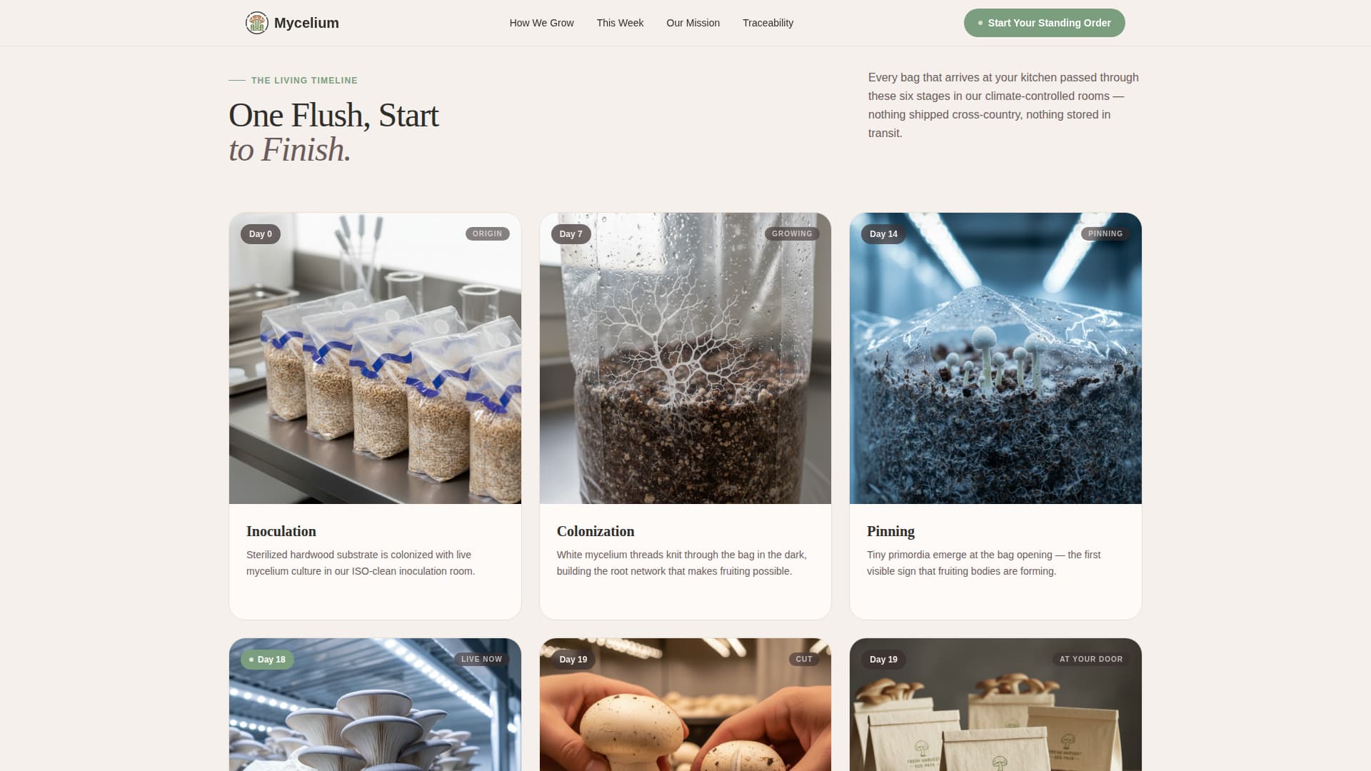 Greenhouse & Indoor Farming Specialist Professional Website Template