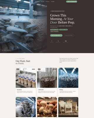 Greenhouse & Indoor Farming Specialist Professional Website Template