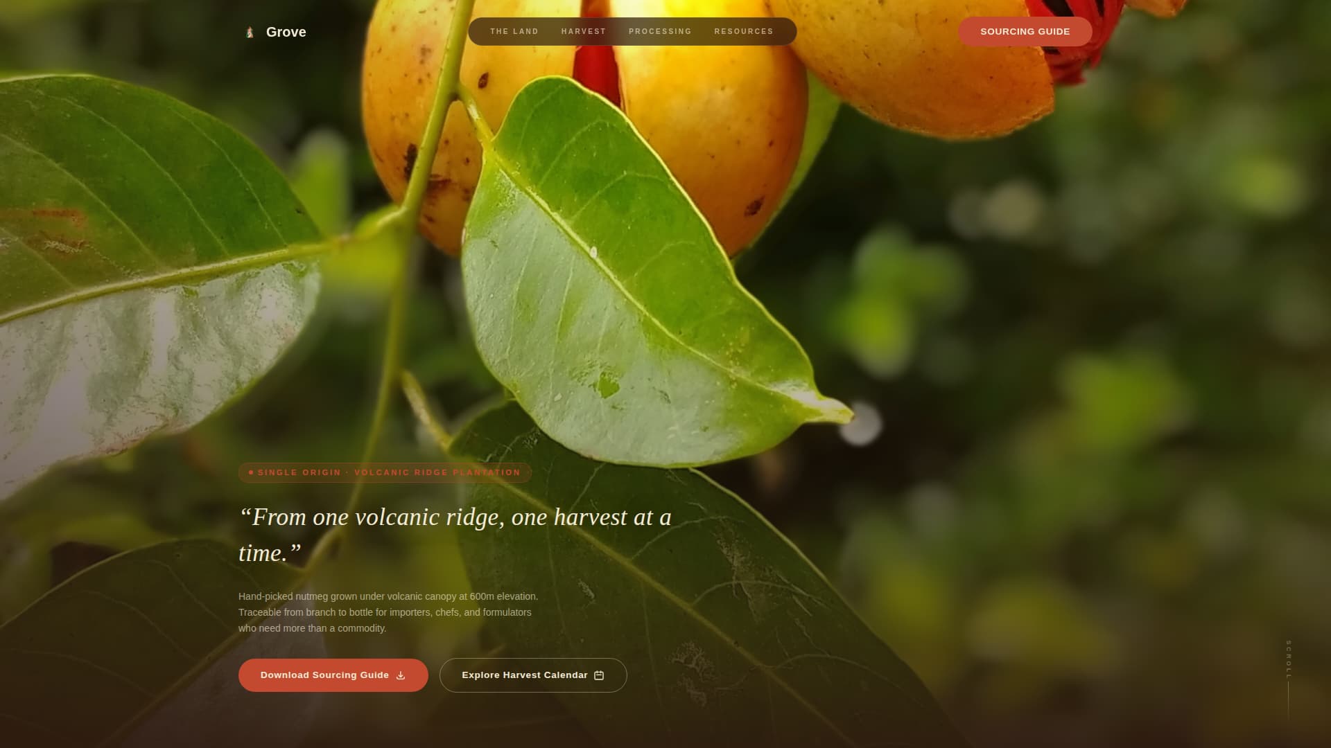 Spice & Herb Farm Professional Website Template