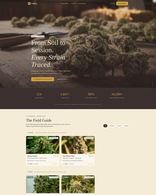 Online - Premium Cannabis Landing Page Template