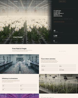 Specialty Farming Specialist Professional Website Template