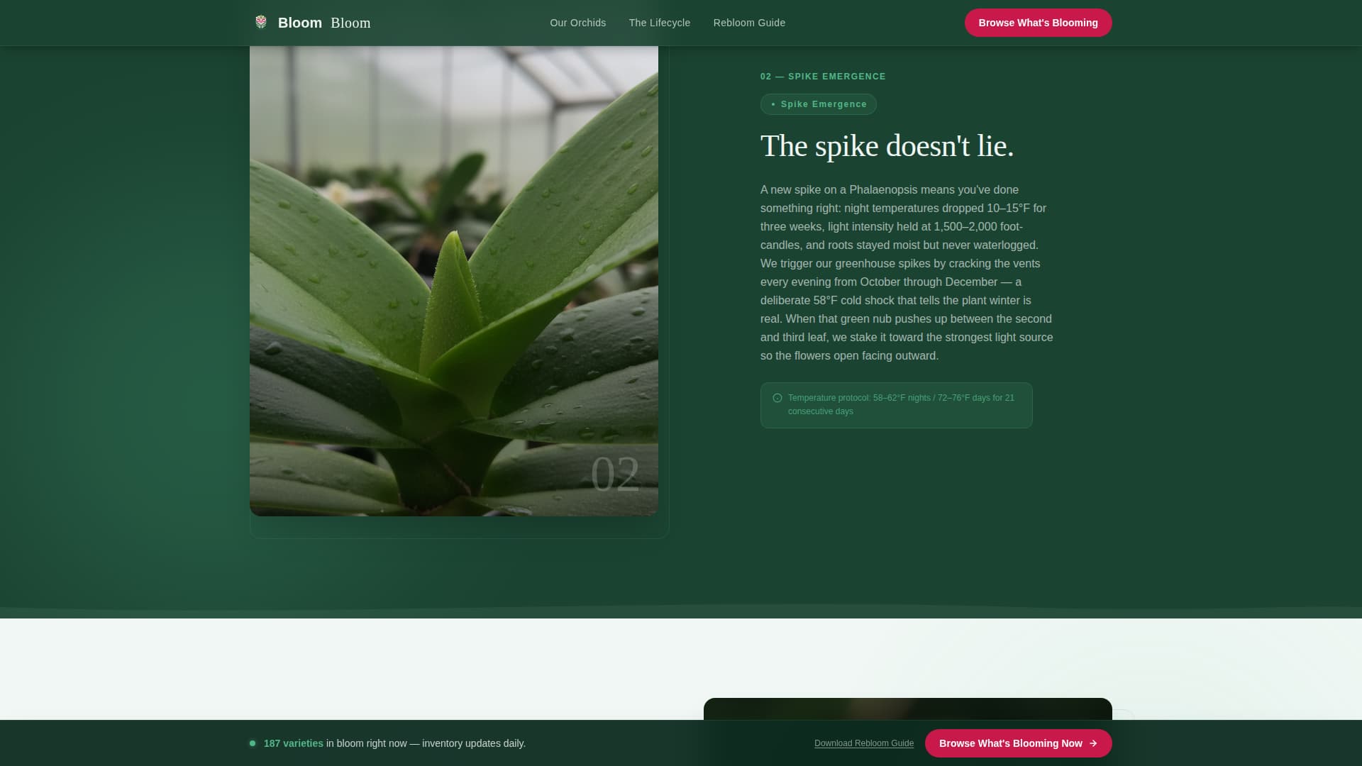 Greenhouse & Indoor Farming Professional Website Template