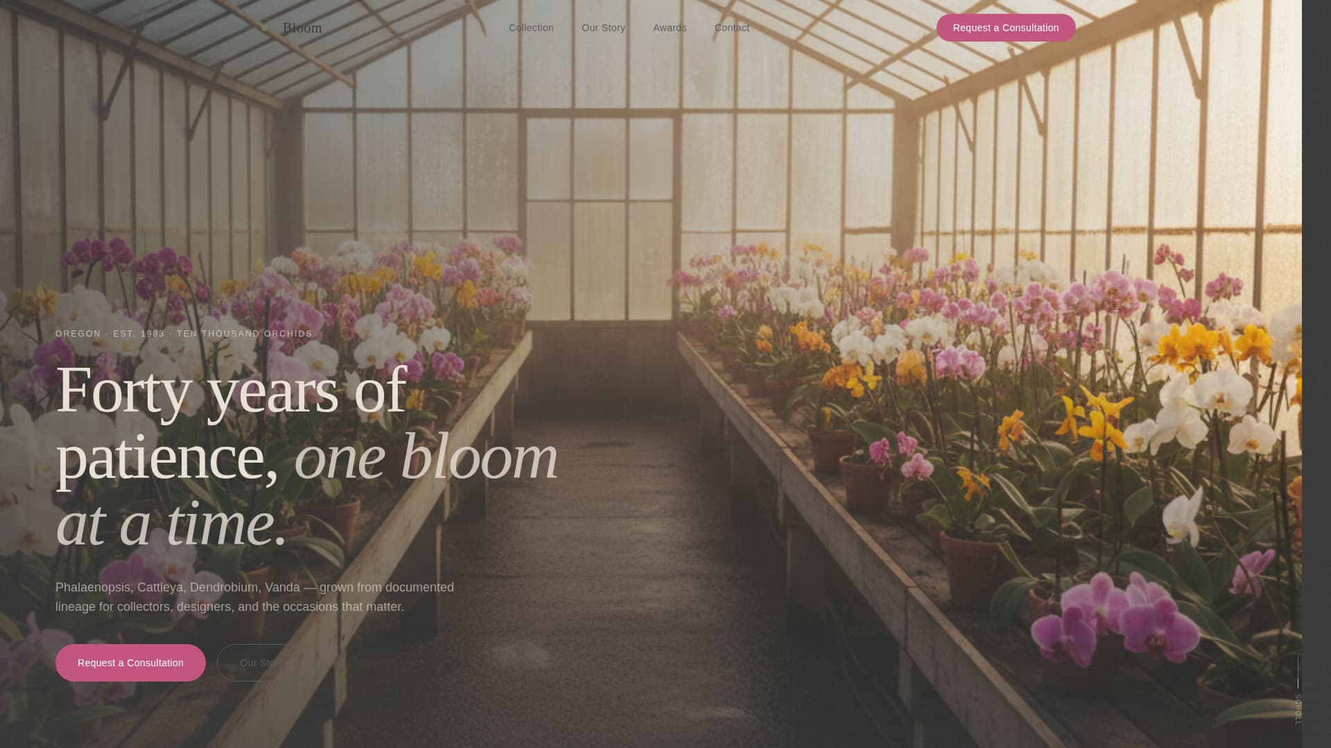 Nursery & Plant Farm Professional Website Template