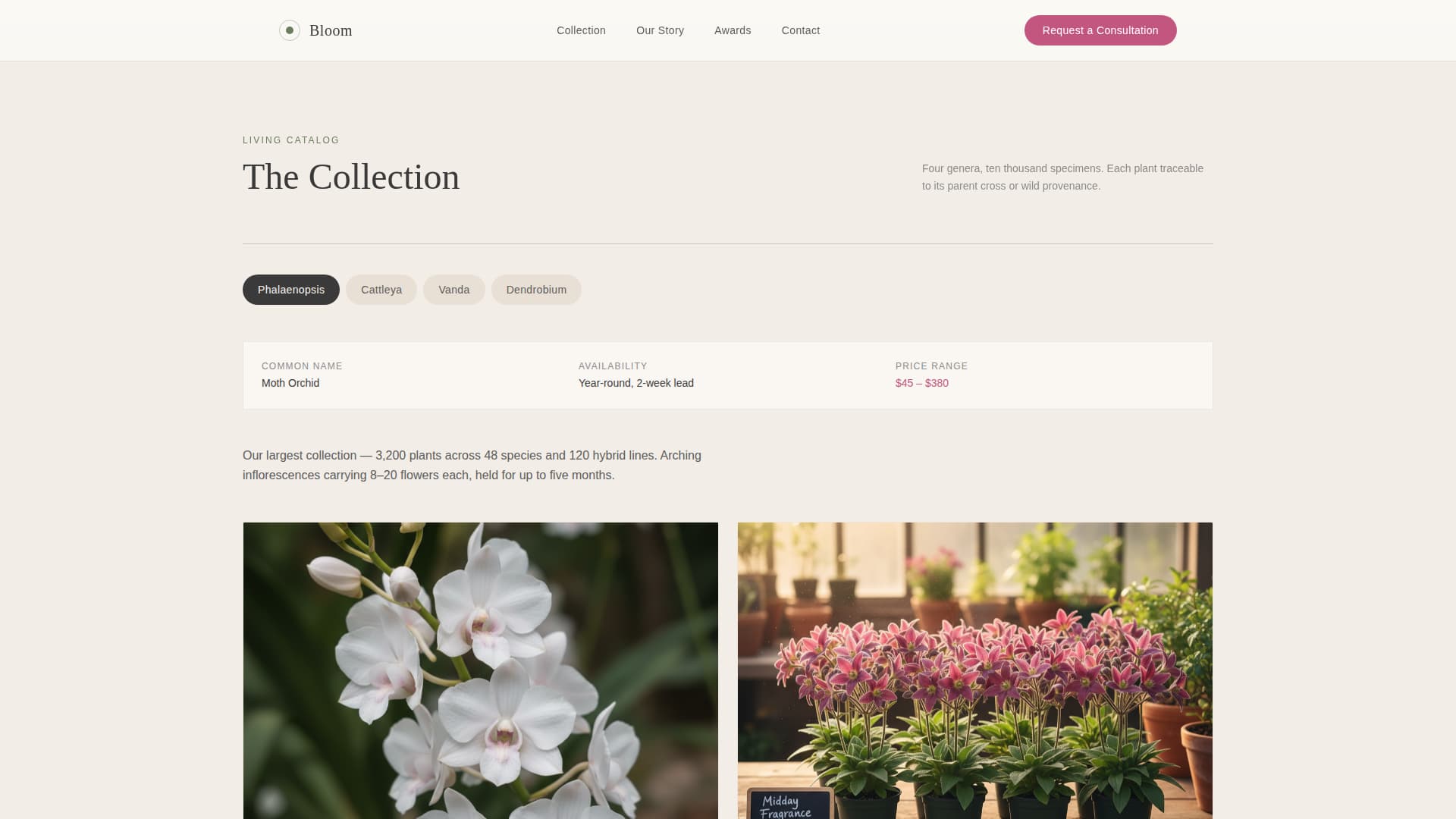 Nursery & Plant Farm Professional Website Template