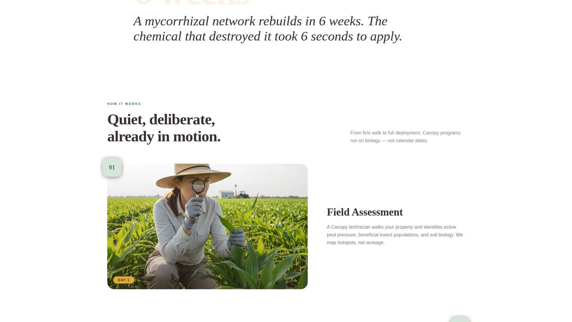 Canopy - Living Pest Management Landing Page Template