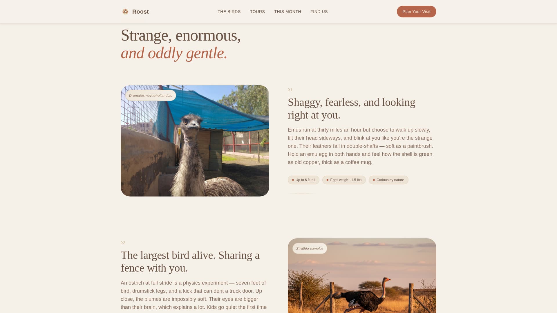 Livestock & Animal Husbandry Booking Website Template