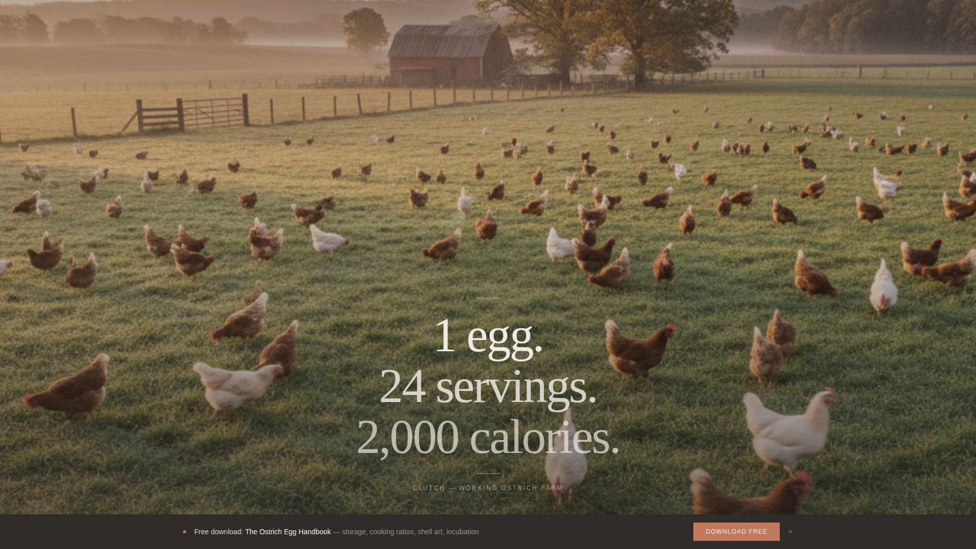 Specialty Farming Professional Website Template