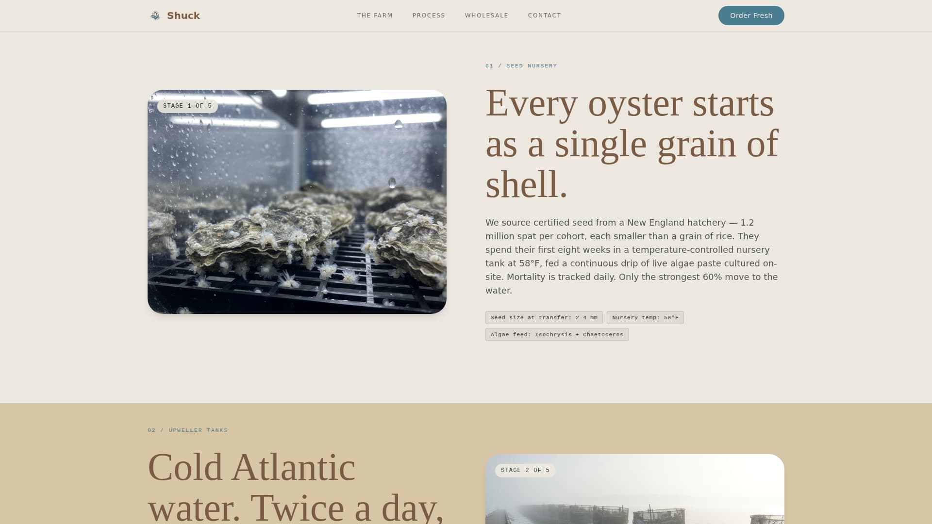 Fishery & Aquaculture Professional Website Template