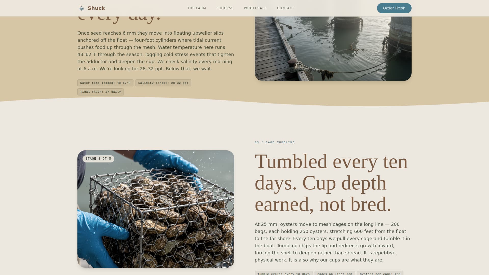 Fishery & Aquaculture Professional Website Template