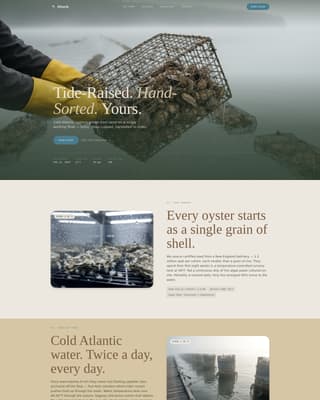 Fishery & Aquaculture Professional Website Template