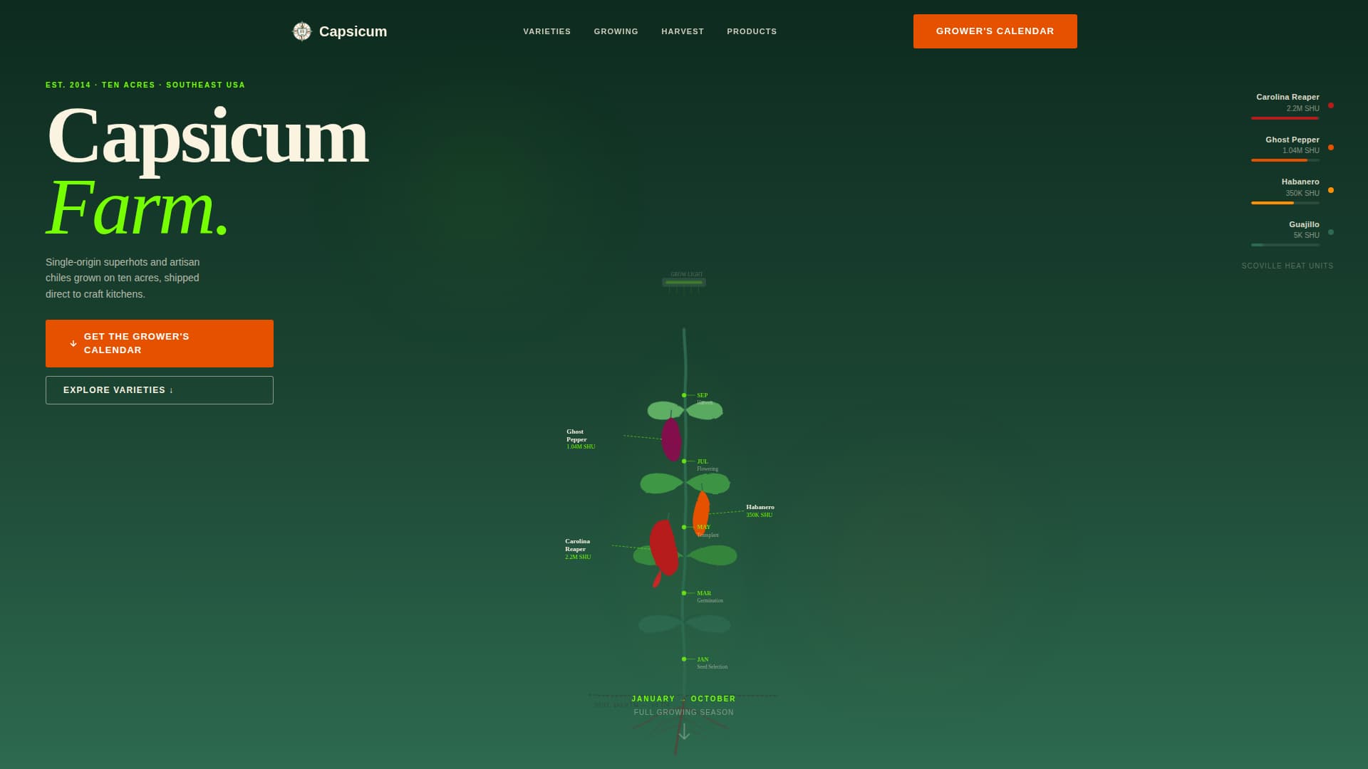 Fruit & Vegetable Farming Professional Website Template