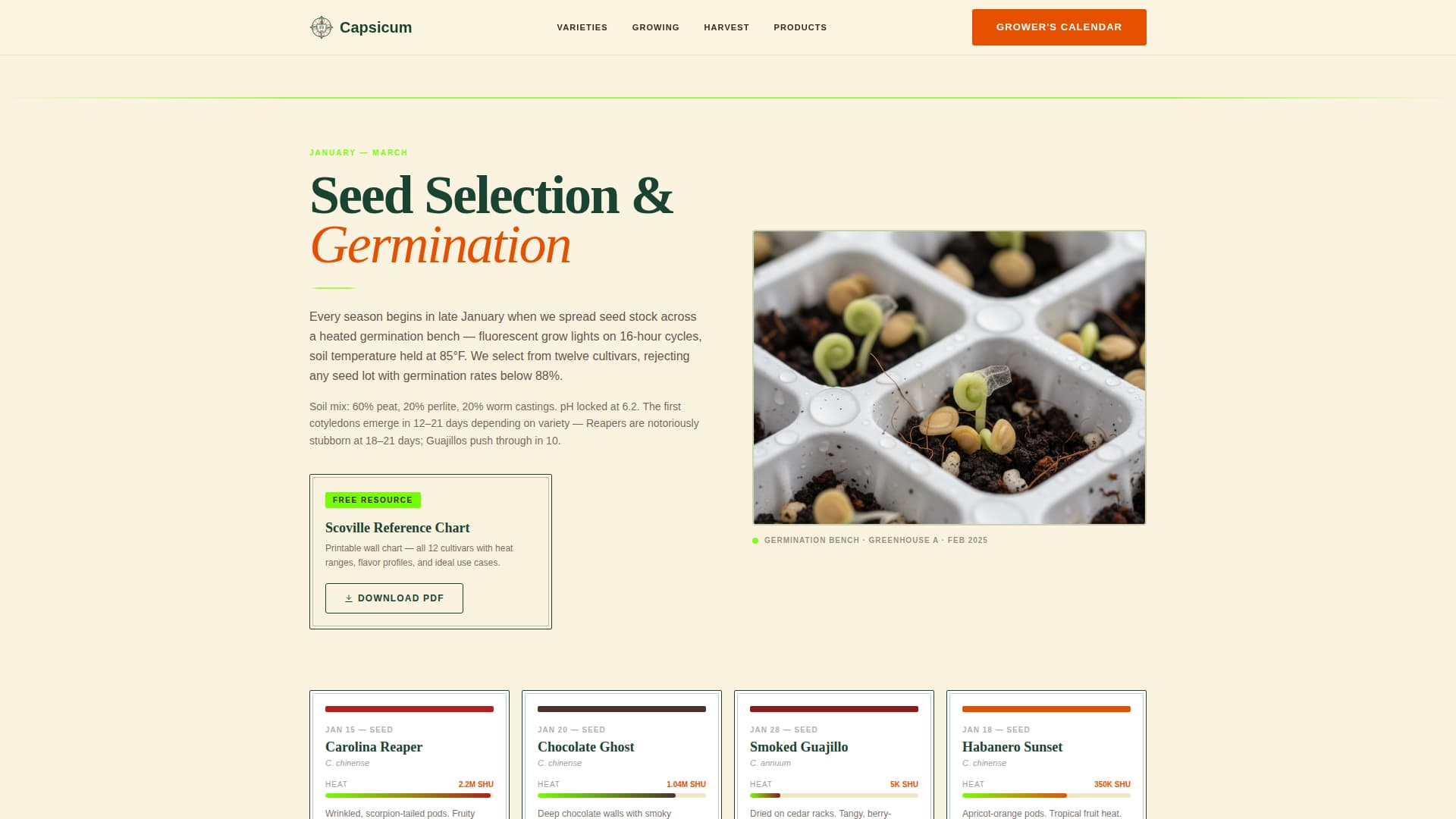 Fruit & Vegetable Farming Professional Website Template