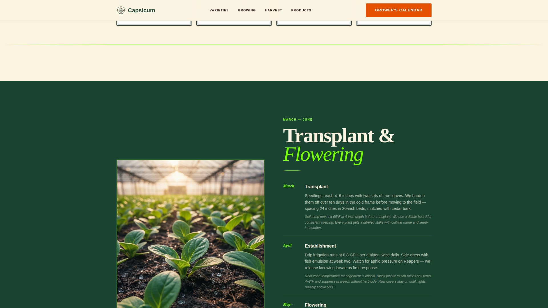 Fruit & Vegetable Farming Professional Website Template