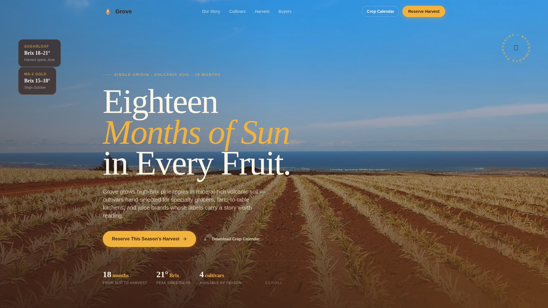 Fruit & Vegetable Farming Reviews Website Template