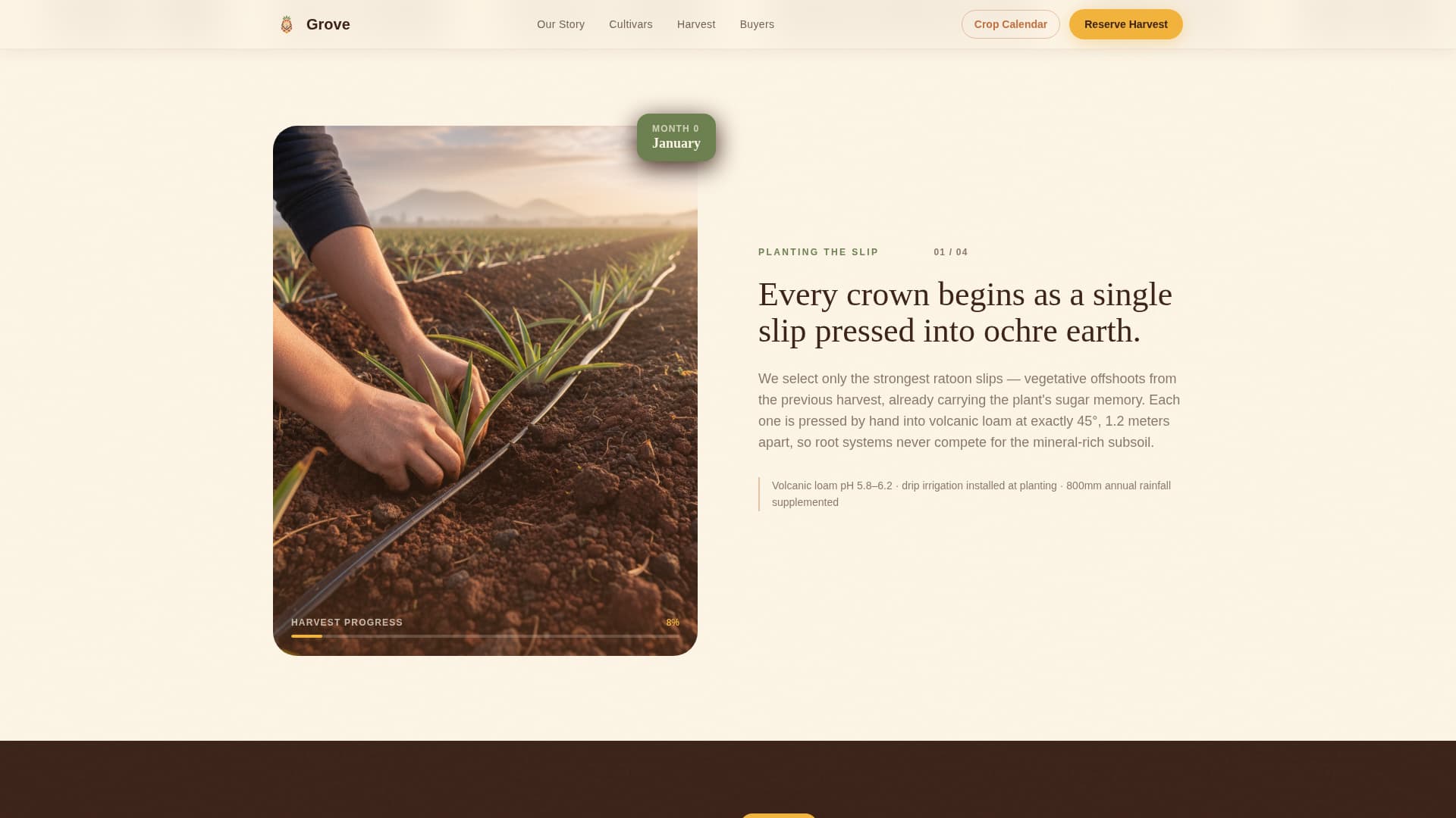 Fruit & Vegetable Farming Reviews Website Template