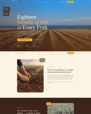 Fruit & Vegetable Farming Reviews Website Template