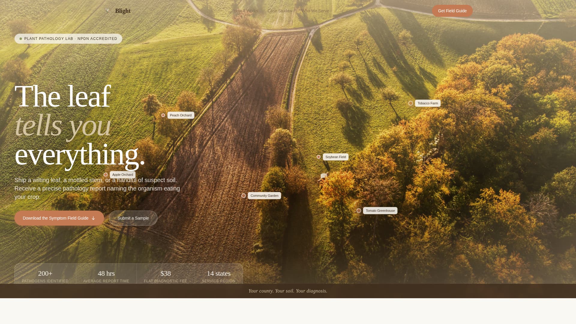 Blight - Trusted Plantdisease Landing Page Template Template | Build ...