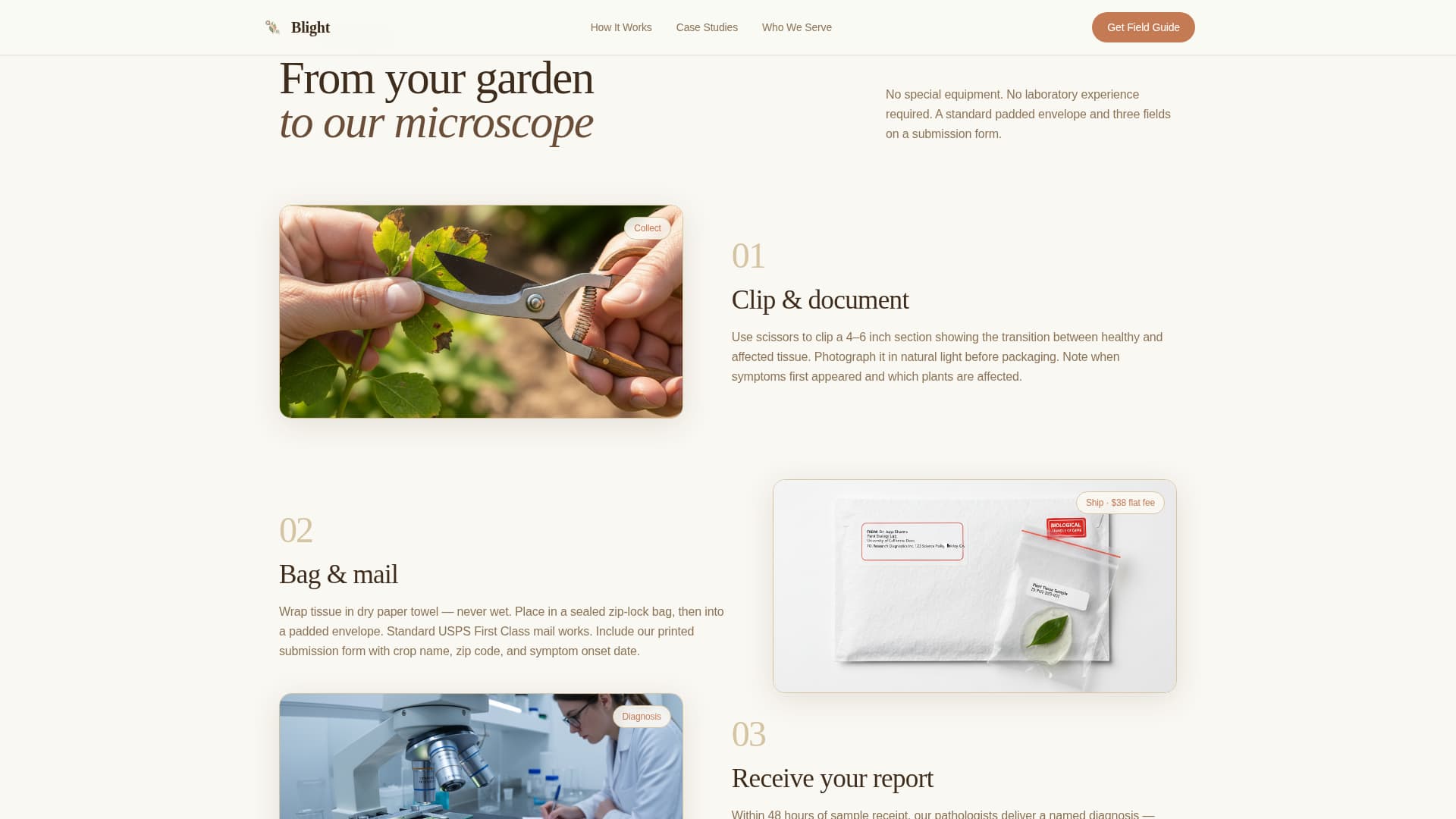 Blight - Trusted Plantdisease Landing Page Template Template | Build ...