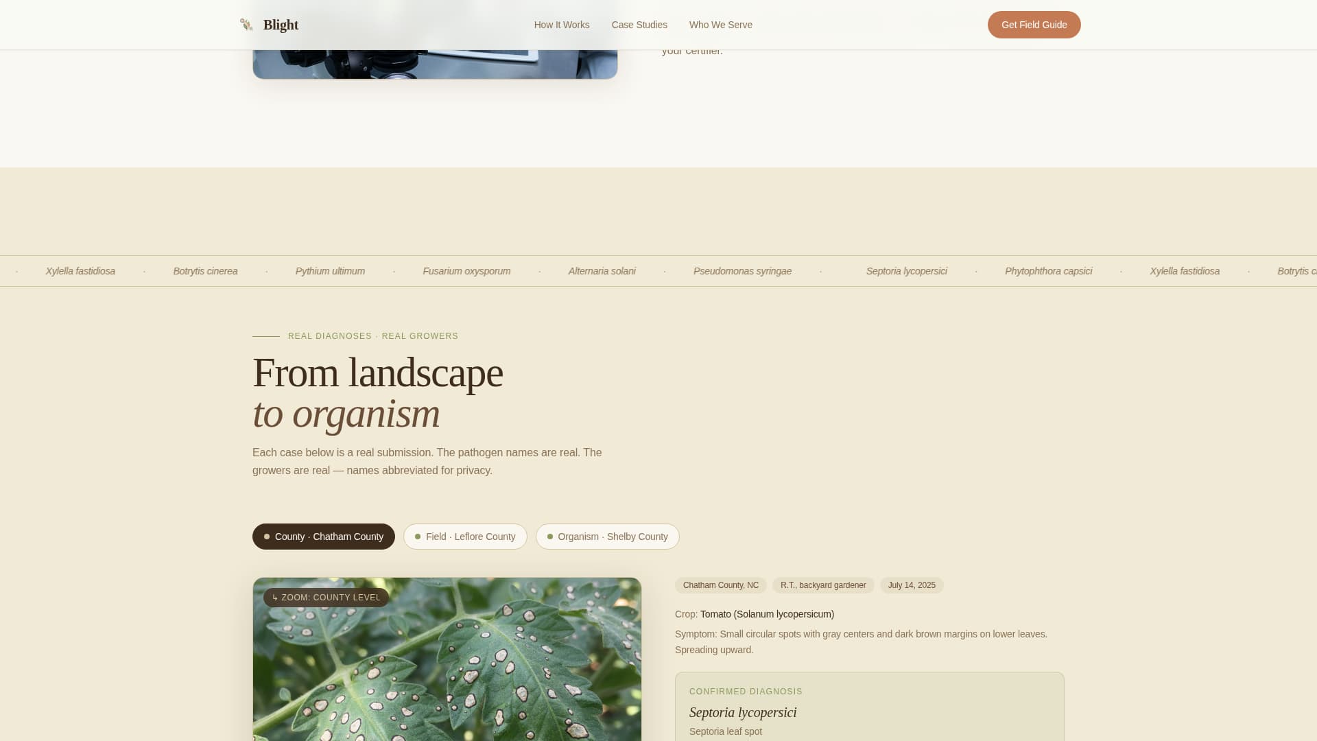 Blight - Trusted Plantdisease Landing Page Template Template | Build ...