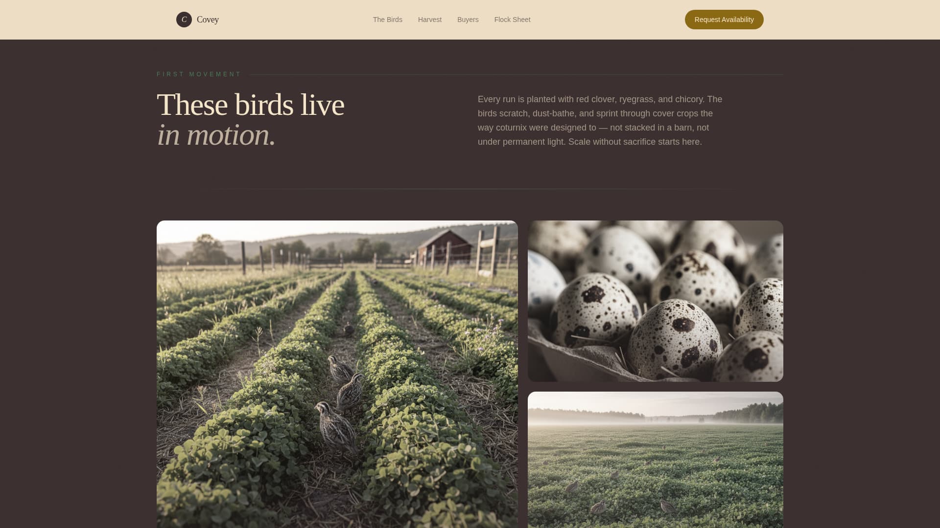 Specialty Farming Blog Website Template