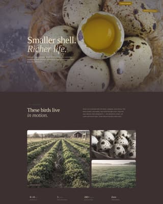 Specialty Farming Blog Website Template