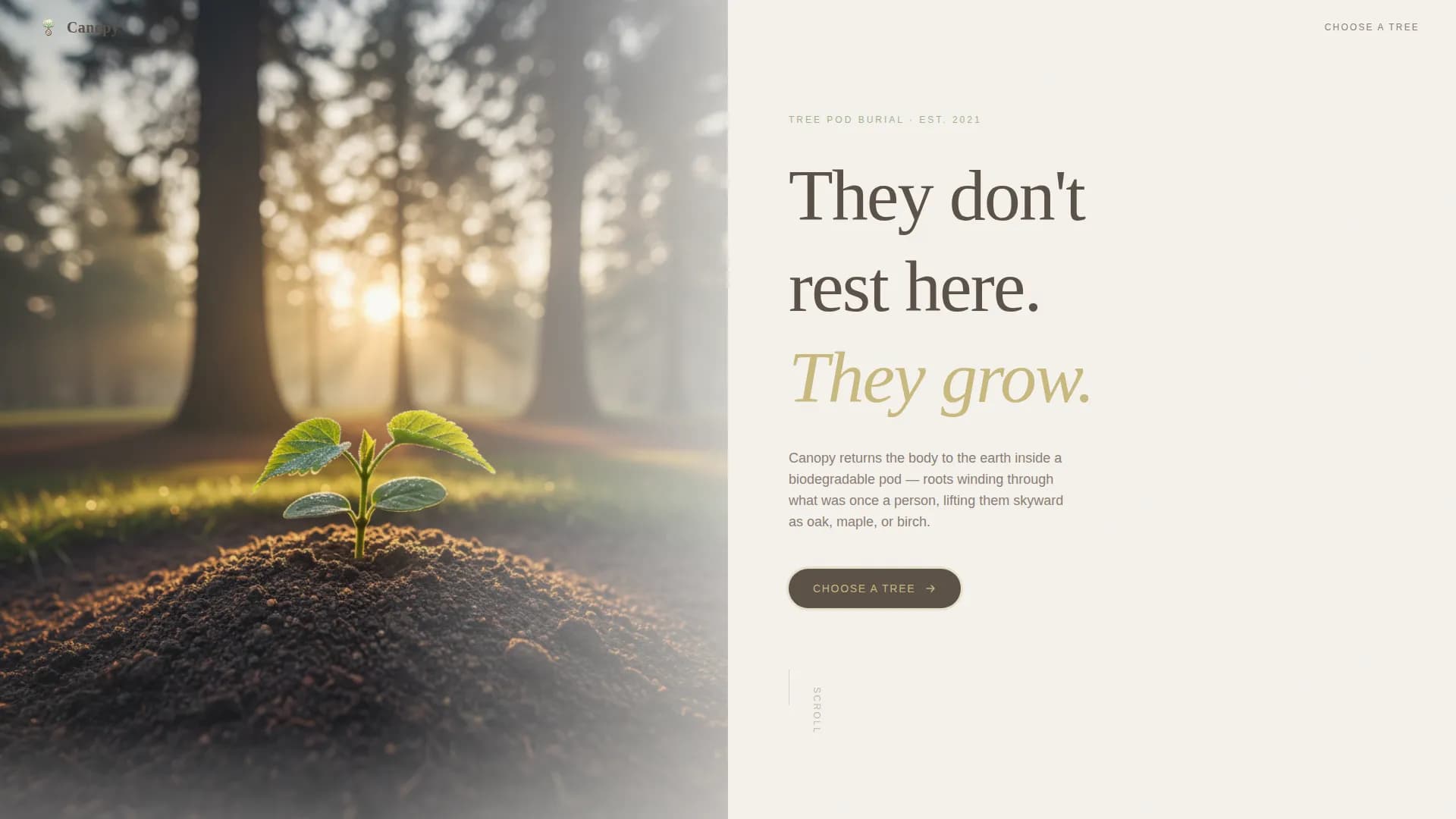 Canopy — Biodegradable Burial Pod Landing Page Template