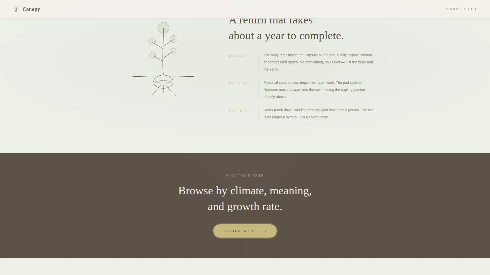 Canopy — Biodegradable Burial Pod Landing Page Template