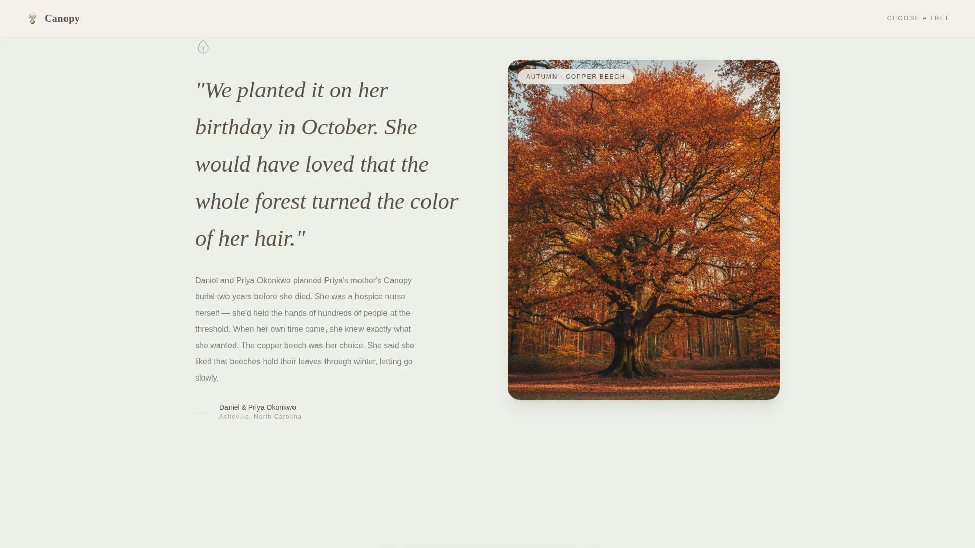 Canopy — Biodegradable Burial Pod Landing Page Template