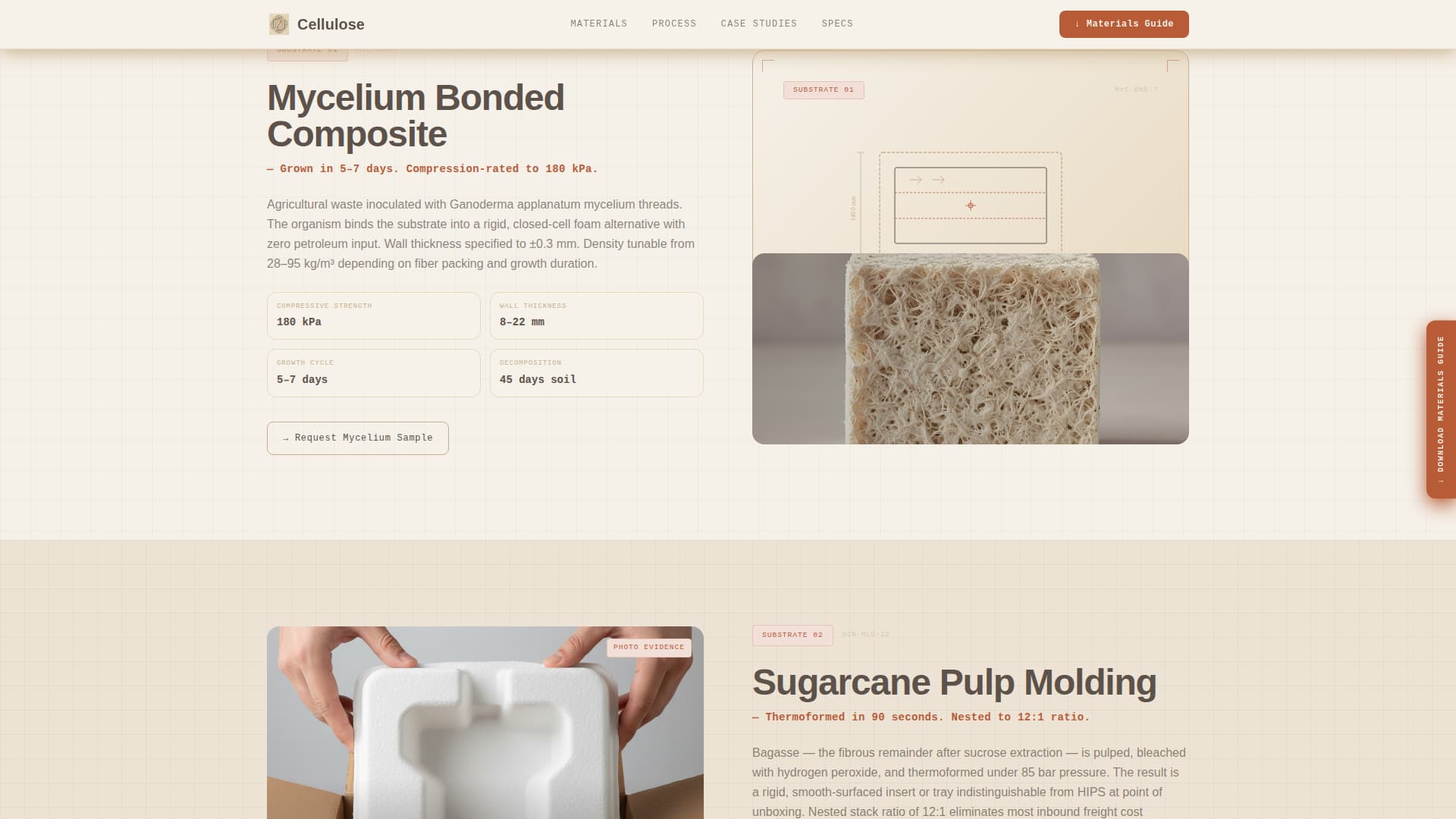 Sustainability & Green Business Professional Website Template