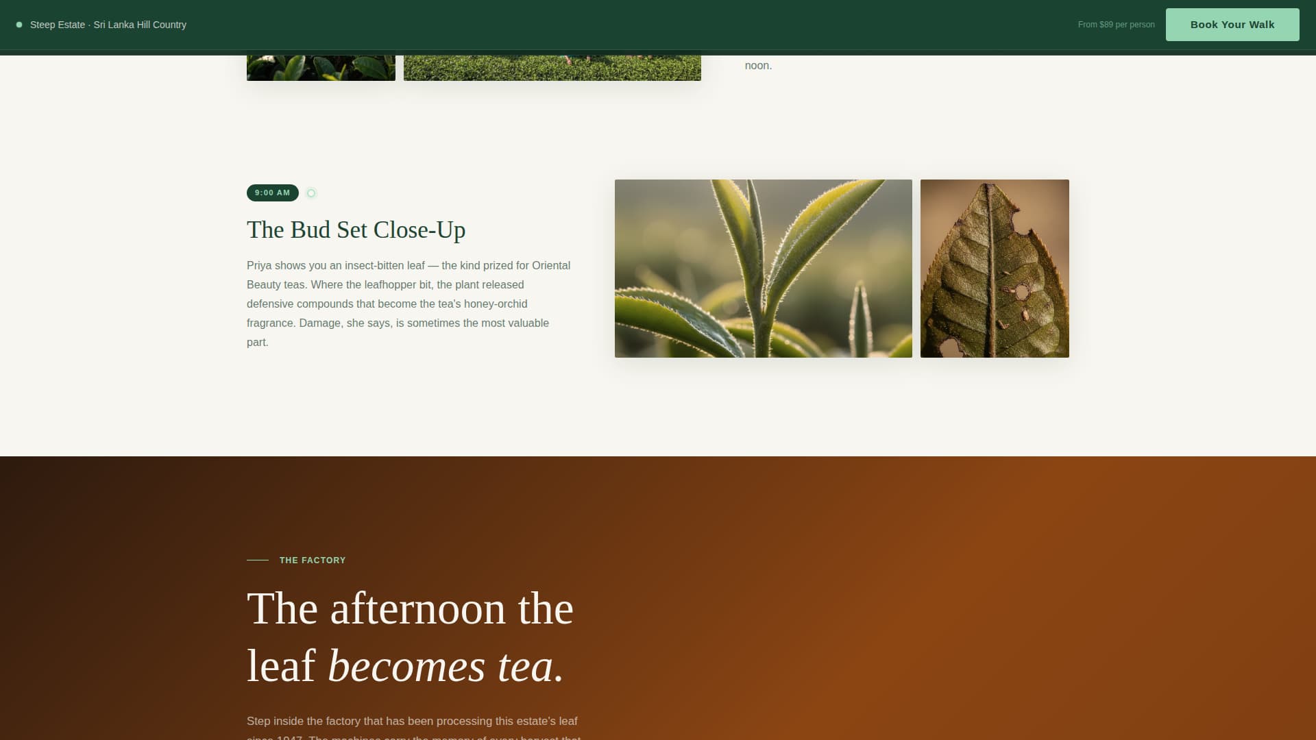 Agri-Tourism & Farm Experience Booking Website Template