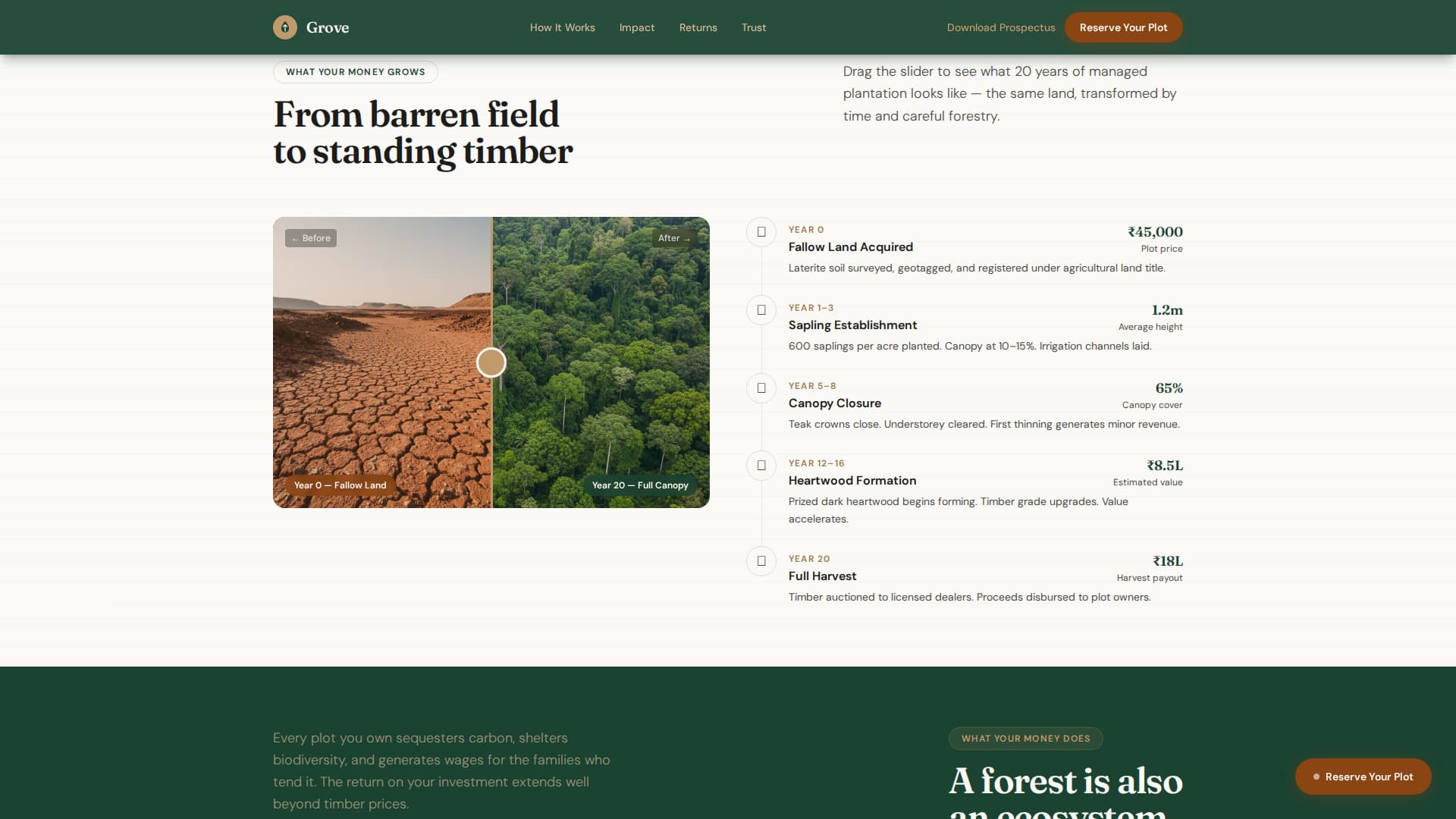 Forestry & Timber Cost Calculator Website Template