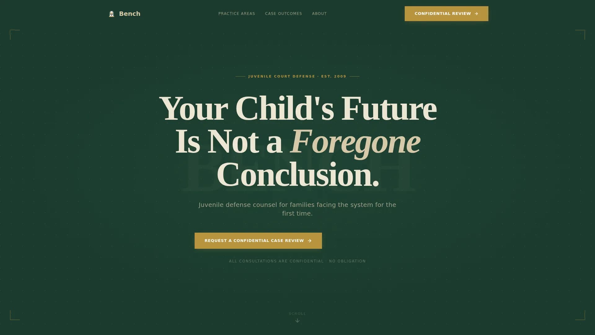 Judiciary & Legal Reviews Website Template