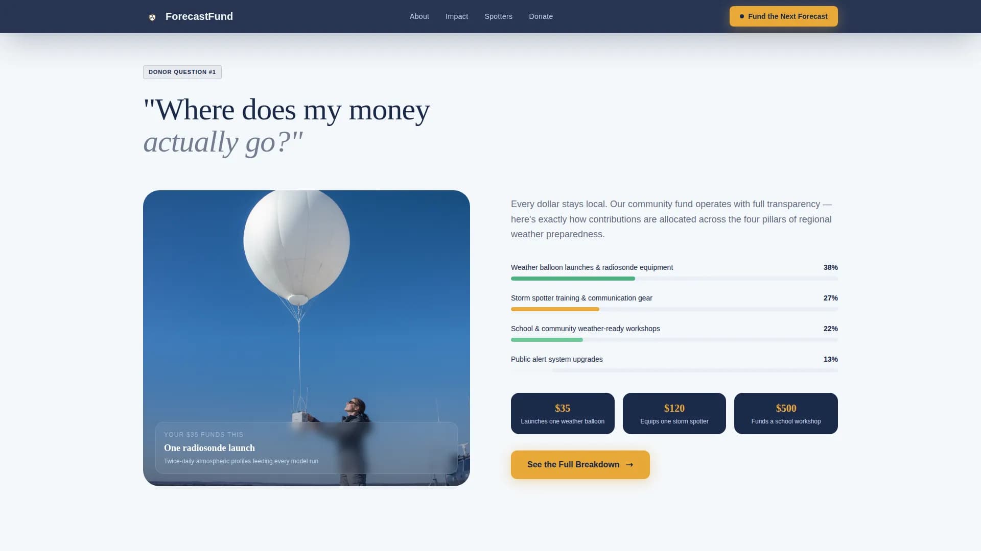 Alert — Disaster Relief Fundraising Landing Page Template