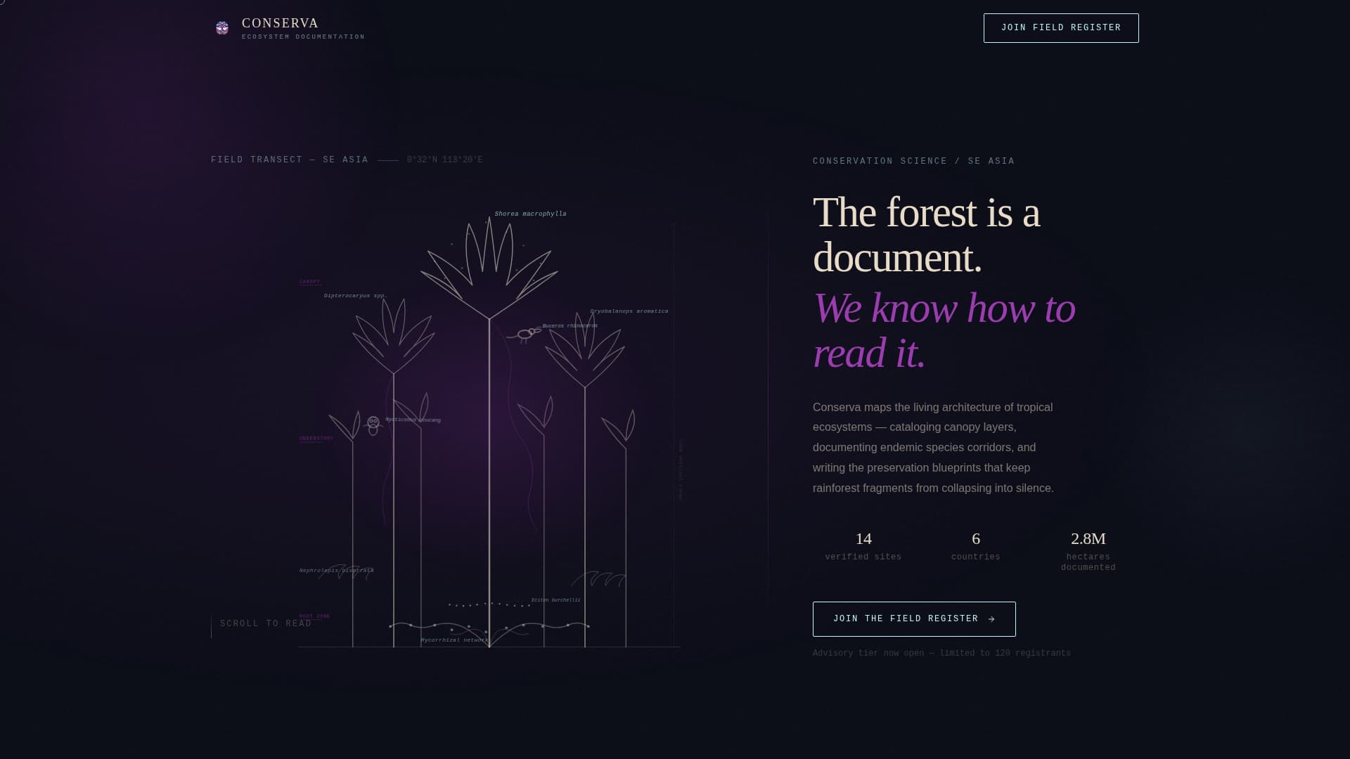 Tropical Architecture Pre-Launch Website Template