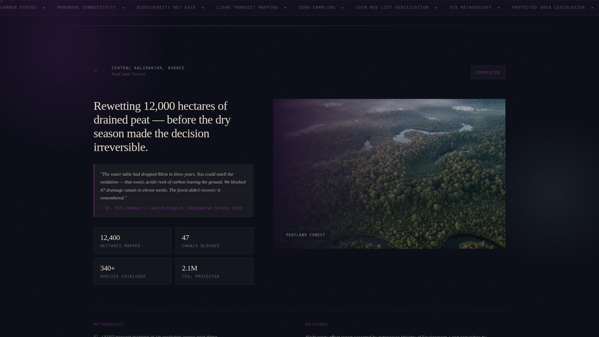 Tropical Architecture Pre-Launch Website Template