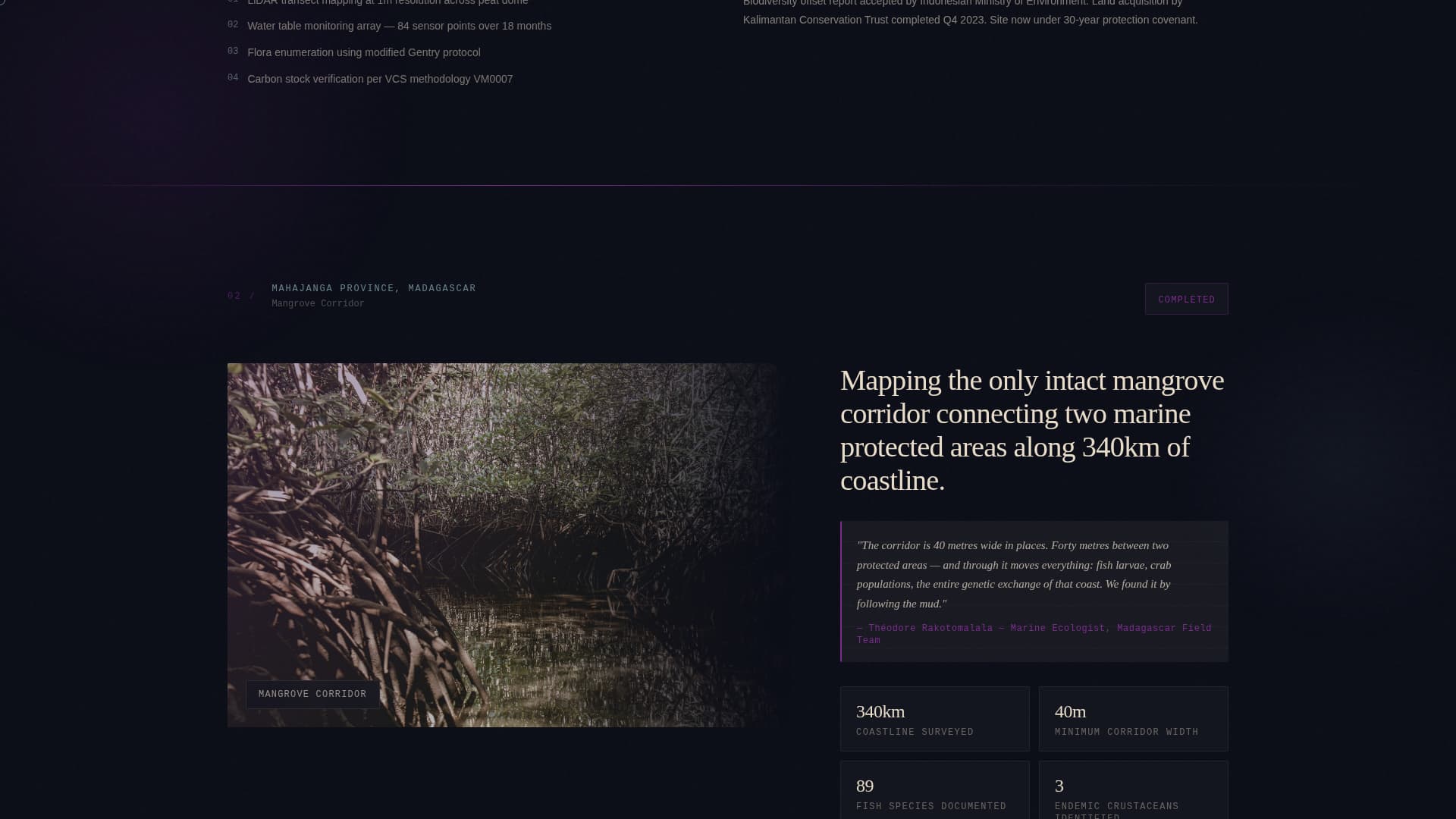 Tropical Architecture Pre-Launch Website Template