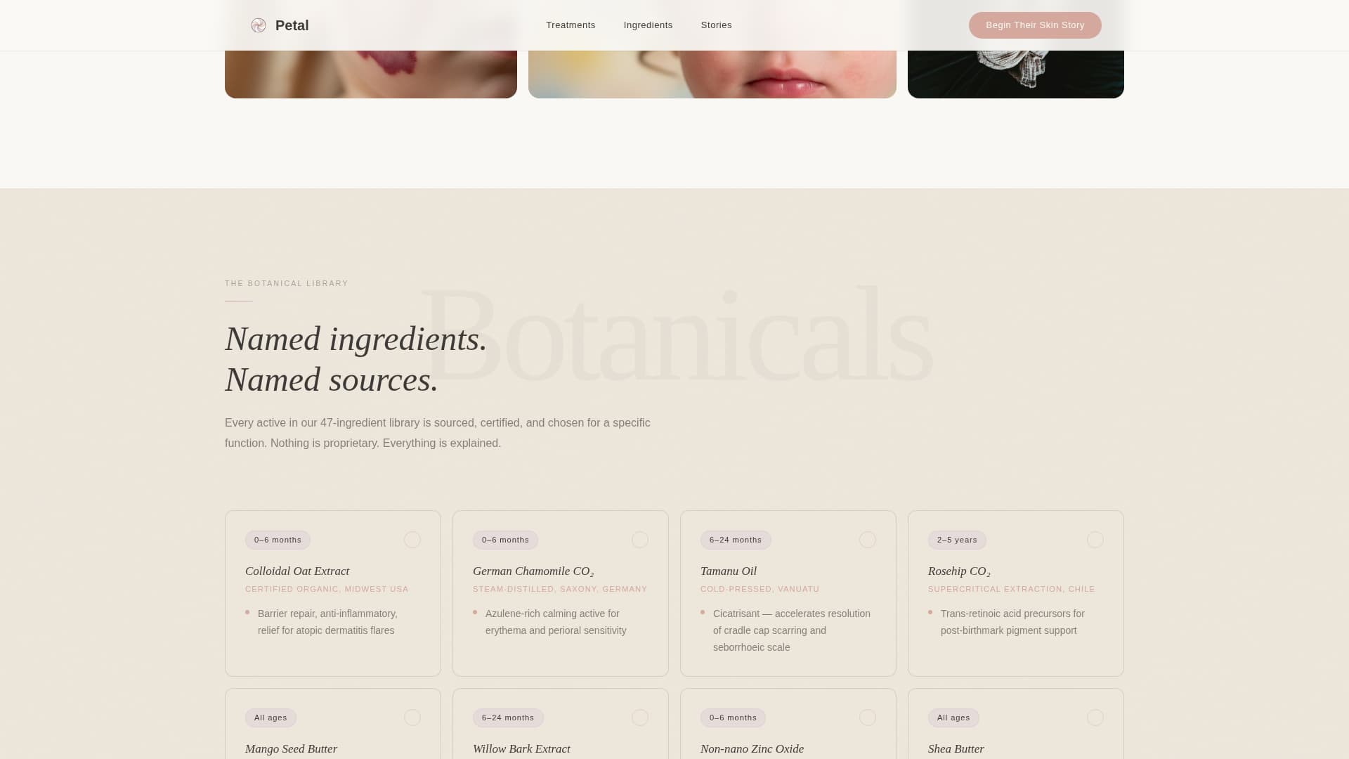 Petal - Luxe Aesthetician Landing Page Template