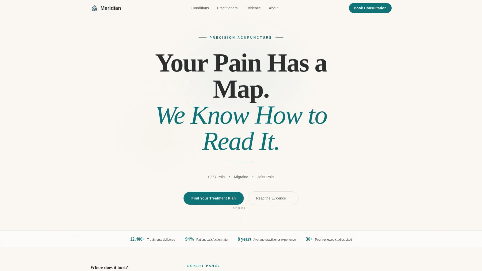 Meridian - Pain Clinic Landing page Template