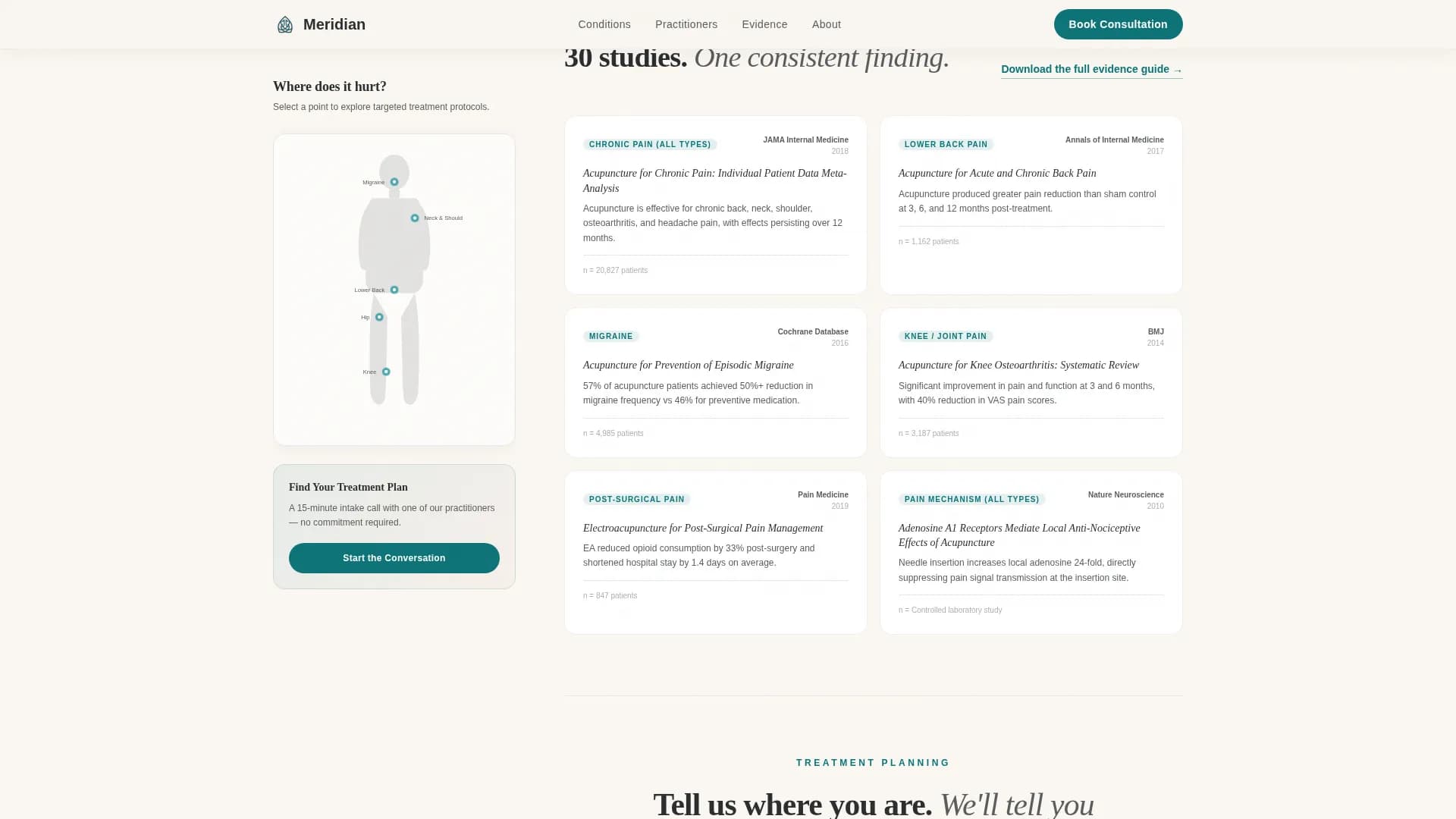 Meridian - Pain Clinic Landing page Template
