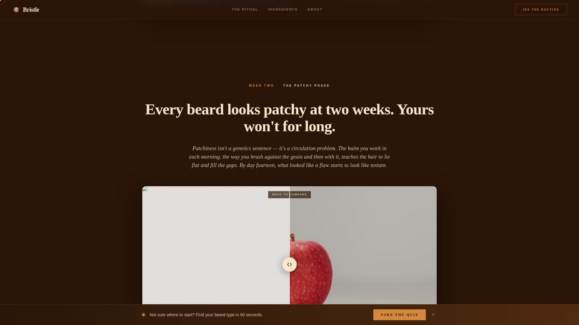 Bristle - Rugged Grooming Landing Page Template