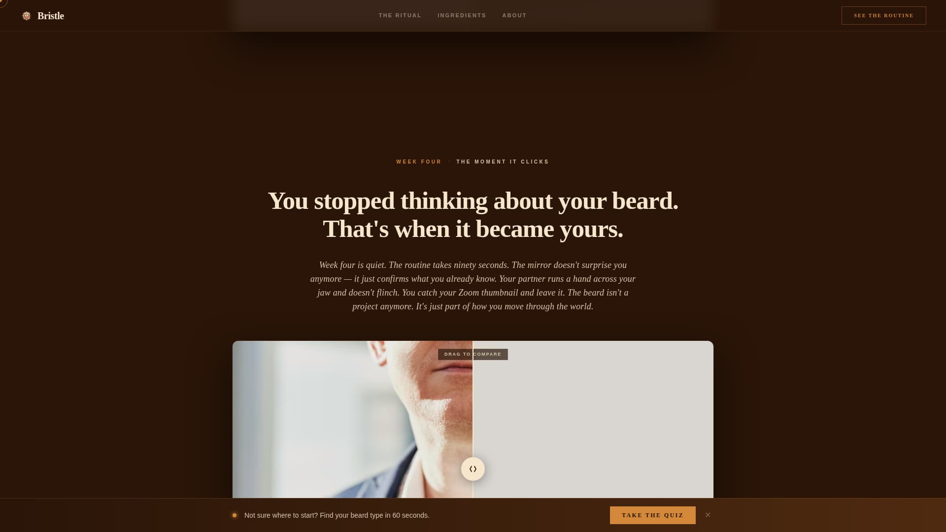 Bristle - Rugged Grooming Landing Page Template